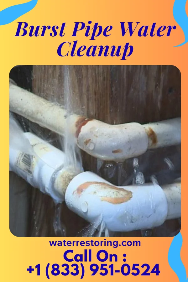 Burst Pipe Water Cleanup in Milford, TX