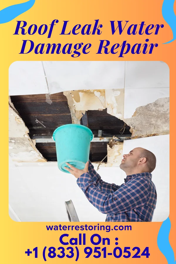 Roof Leak Water Damage Repair in Milford, TX