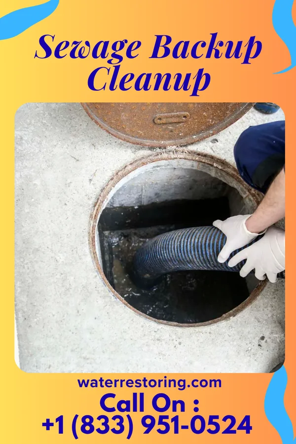 Sewage Backup Cleanup in Milford, TX